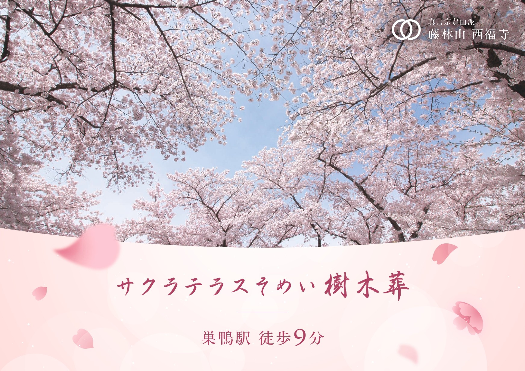樹木葬パンフレット